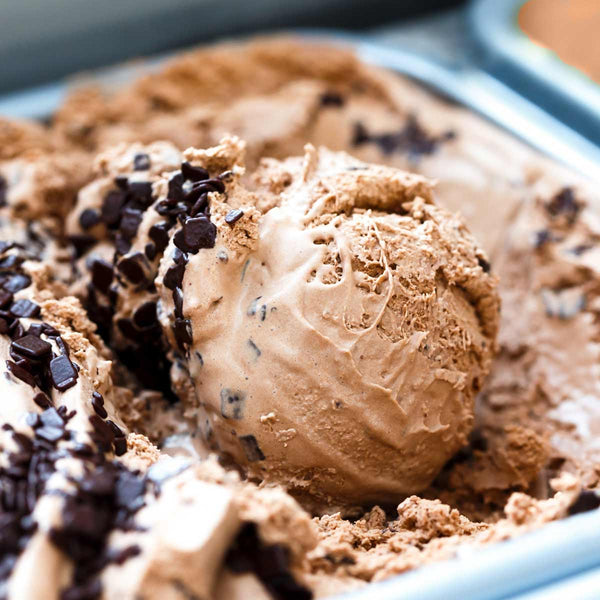 Homemade Chocolate Chip Ice Cream